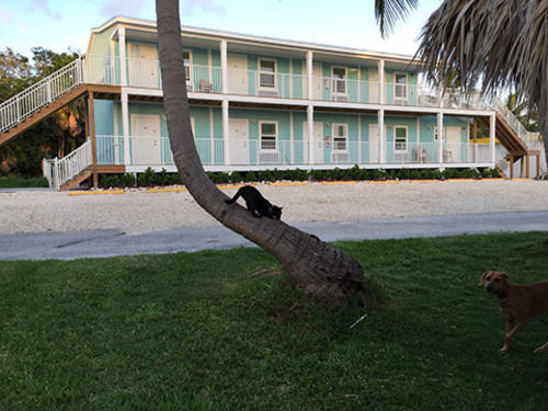 Motel Bonefish Bay